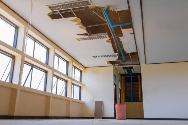 Best Carpet water damage restoration  in Ho Ho Kus, NJ