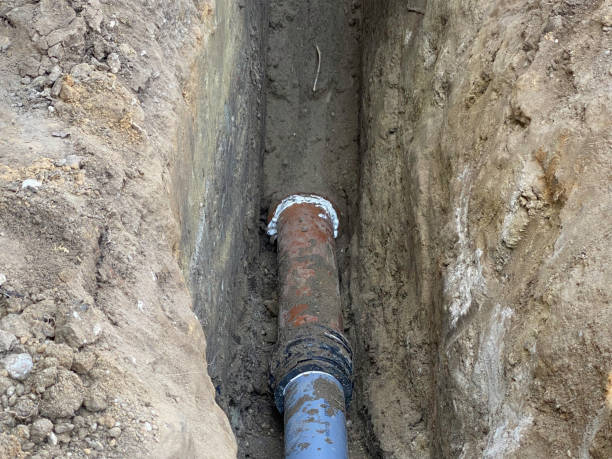 Best Professional water damage repair  in Ho Ho Kus, NJ