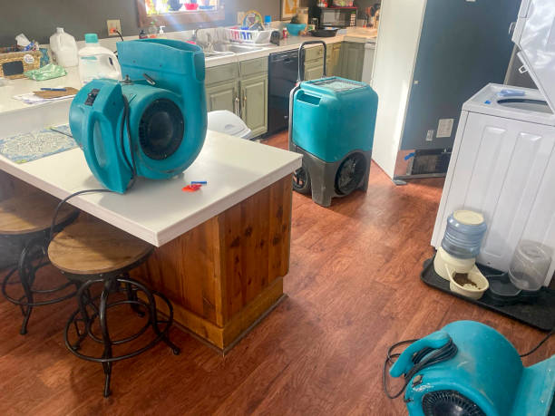 Best Flood damage cleanup  in Ho Ho Kus, NJ