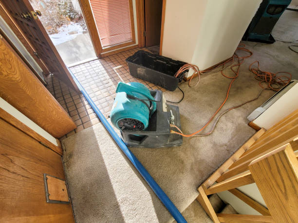 Best Basement water damage restoration  in Ho Ho Kus, NJ