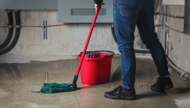Best Mold removal after water damage  in Ho Ho Kus, NJ