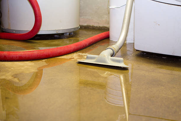 Best Fire Damage Restoration  in Ho Ho Kus, NJ