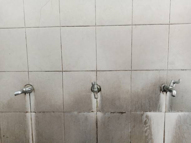 Best 24/7 water damage repair  in Ho Ho Kus, NJ