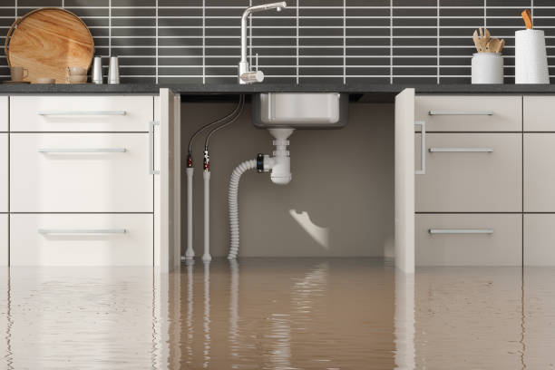 Best Water damage restoration experts  in Ho Ho Kus, NJ