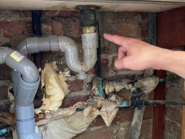 Best Mold removal after water damage  in Ho Ho Kus, NJ