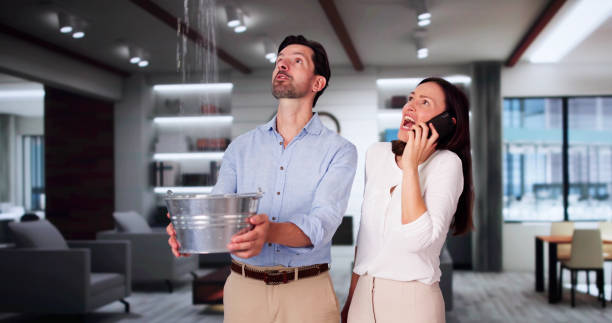Best Water damage restoration near me  in Ho Ho Kus, NJ
