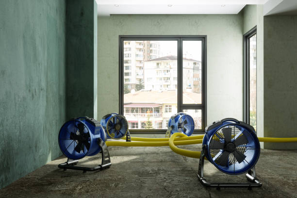 Best Water damage restoration cost  in Ho Ho Kus, NJ