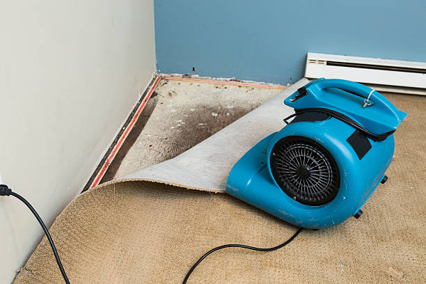 Best Residential water damage restoration  in Ho Ho Kus, NJ